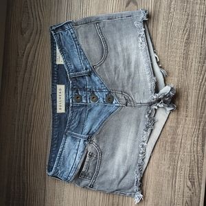 Bullhead Denim Co. Low Rise Shorts